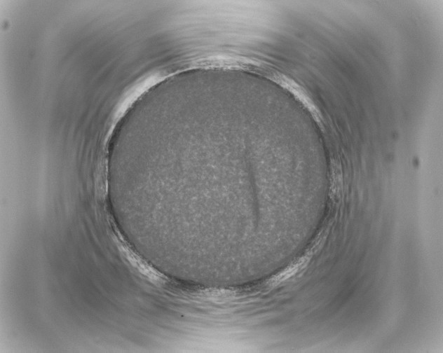 X0000087671075200705251613