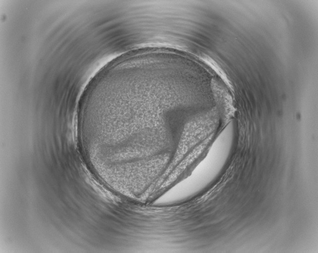 X0000087671076200705251613