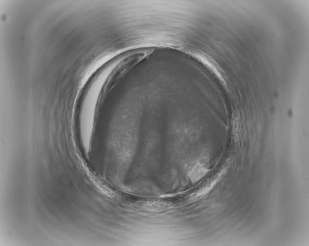 X0000087671077200705251613