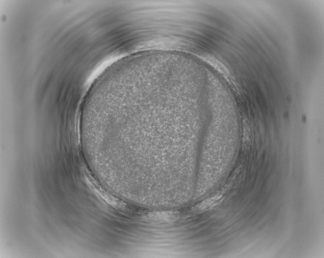 X0000087671078200705251613