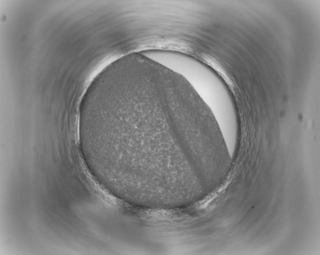 X0000087671079200705251613