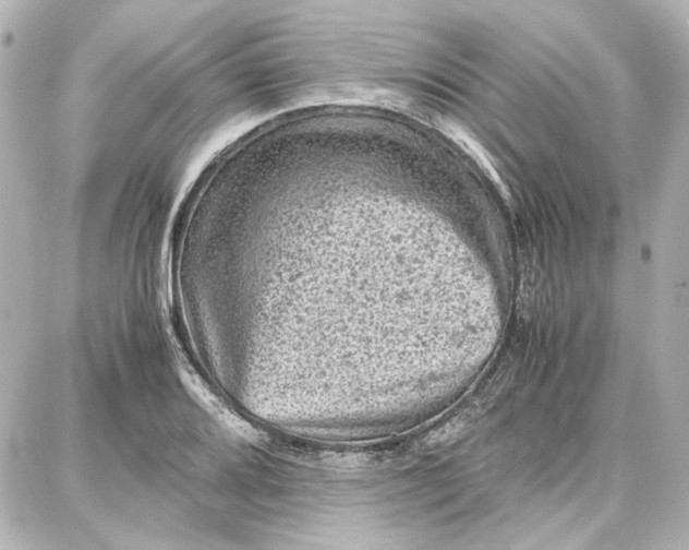 X0000087671080200705251613