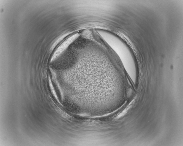 X0000087671081200705251613