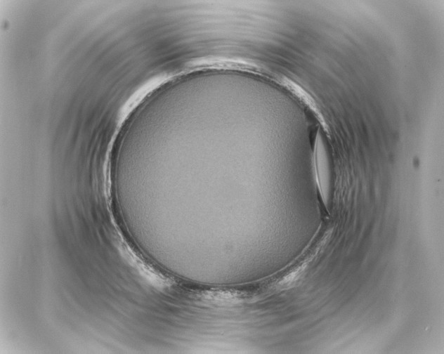 X0000087671082200705251613