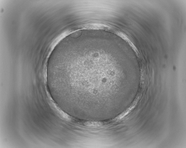 X0000087671083200705251613