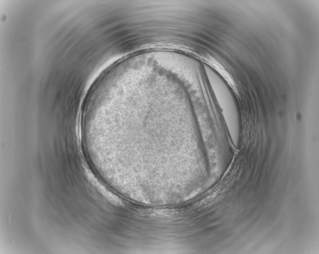 X0000087671084200705251613