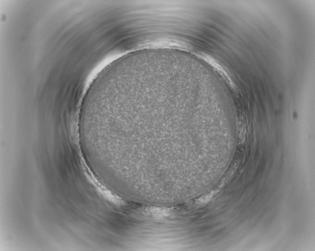 X0000087671086200705251613