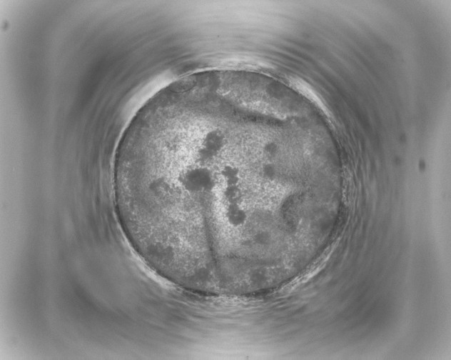 X0000087671087200705251613