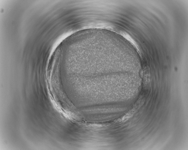 X0000087671088200705251613