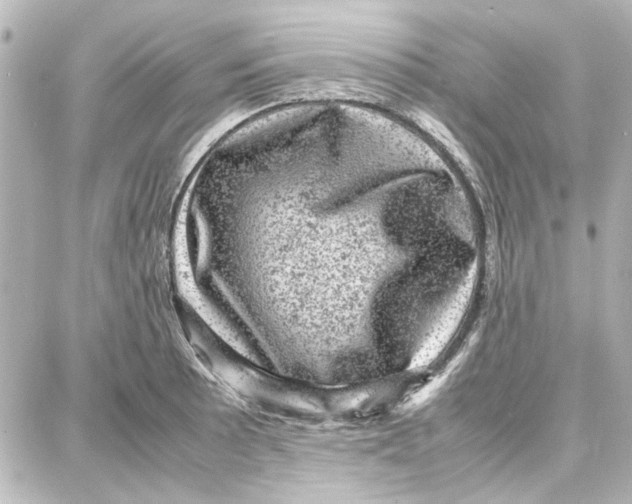 X0000087671089200705251613