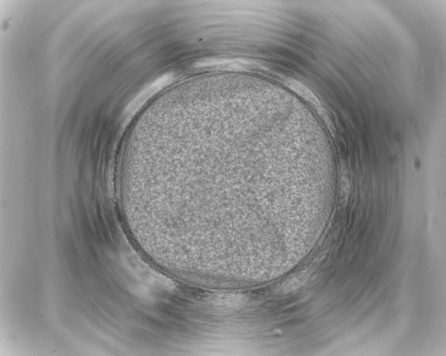 X0000087671090200705251613