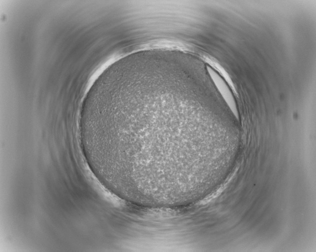 X0000087671091200705251613