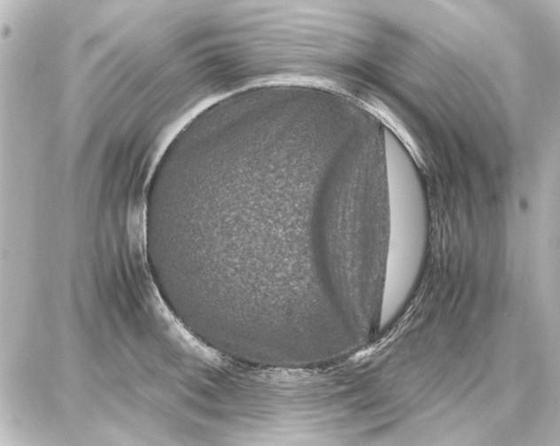 X0000087671092200705251613