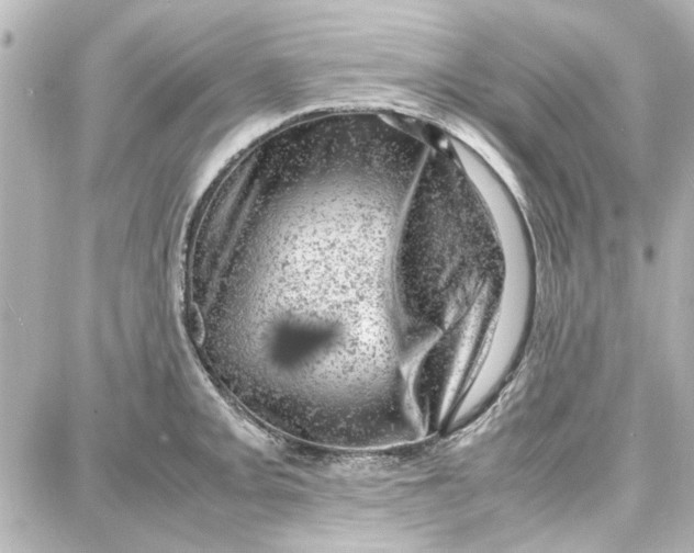 X0000087671093200705251613