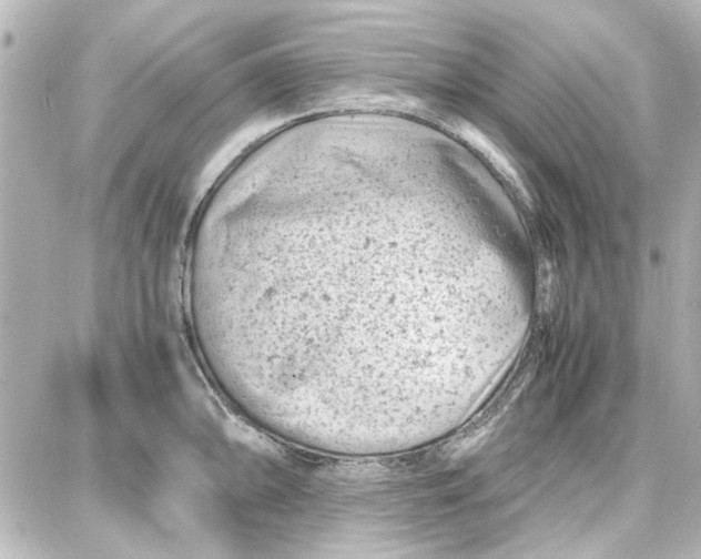 X0000087671094200705251613