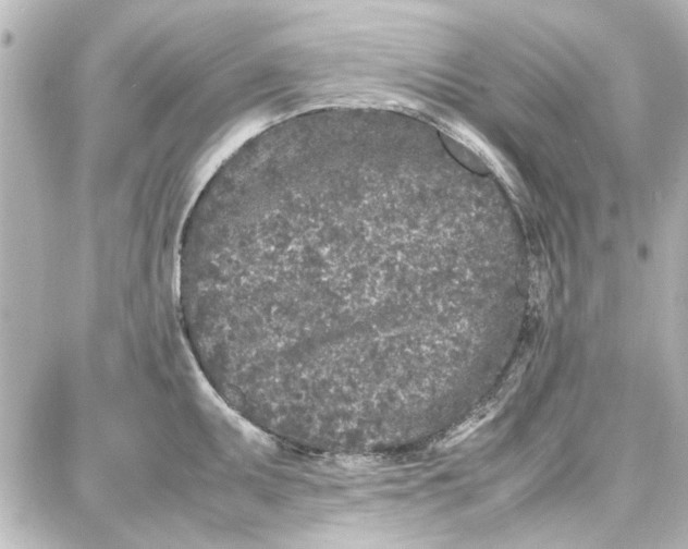 X0000087671095200705251613