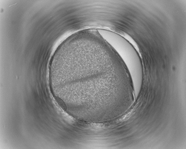 X0000087671096200705251612