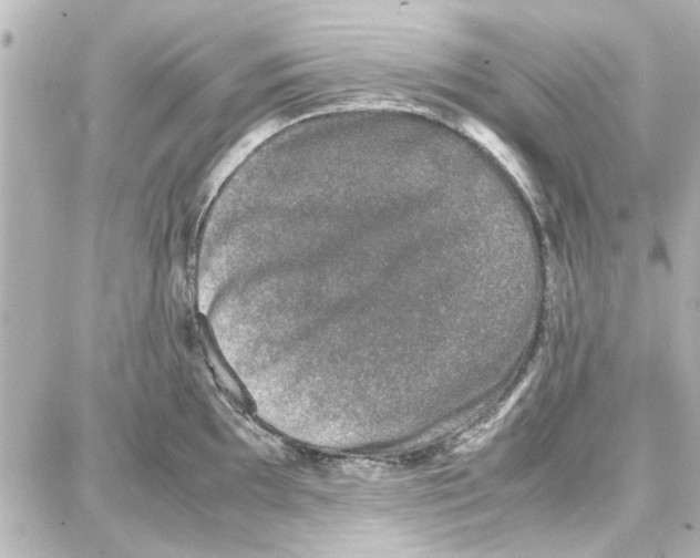 X0000087671097200705251612