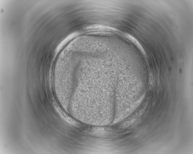 X0000087671098200705251612