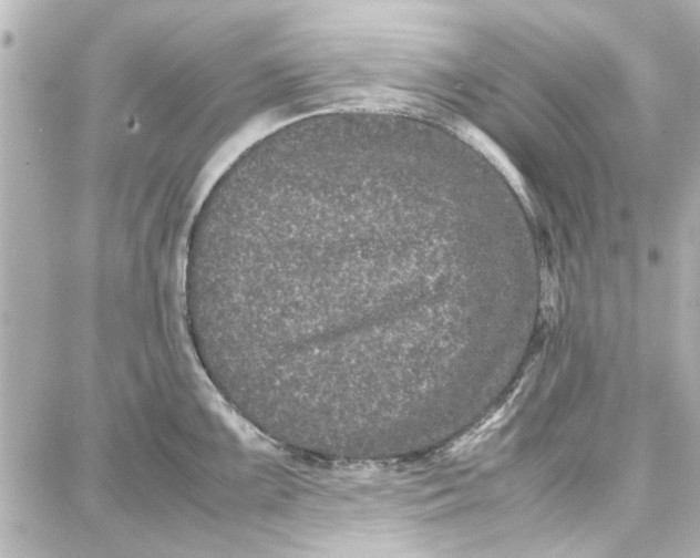 X0000087671099200705251612