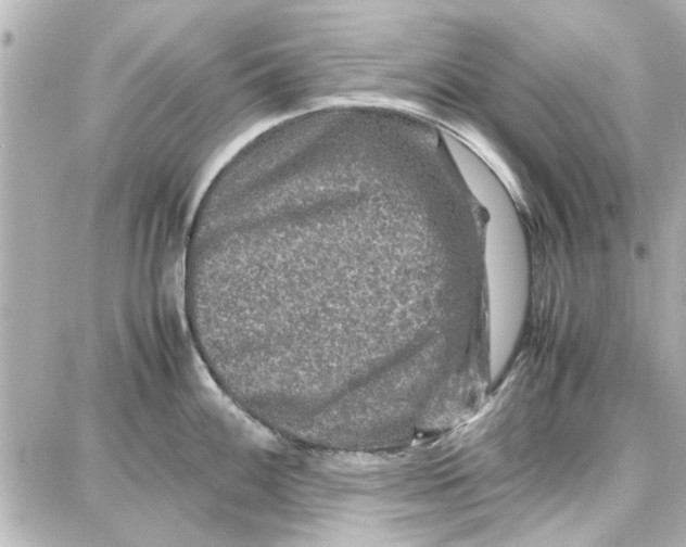 X0000087671100200705251612