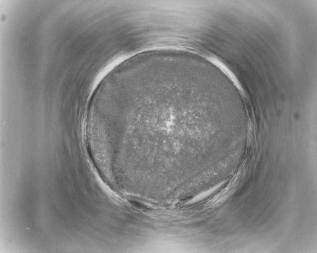 X0000087671101200705251612