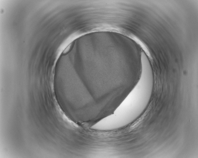 X0000087671102200705251612