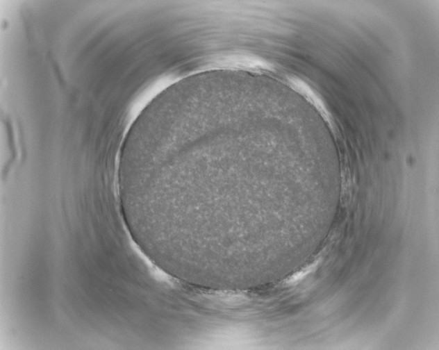 X0000087671103200705251612