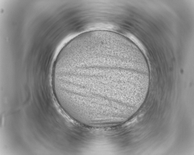 X0000087671104200705251612