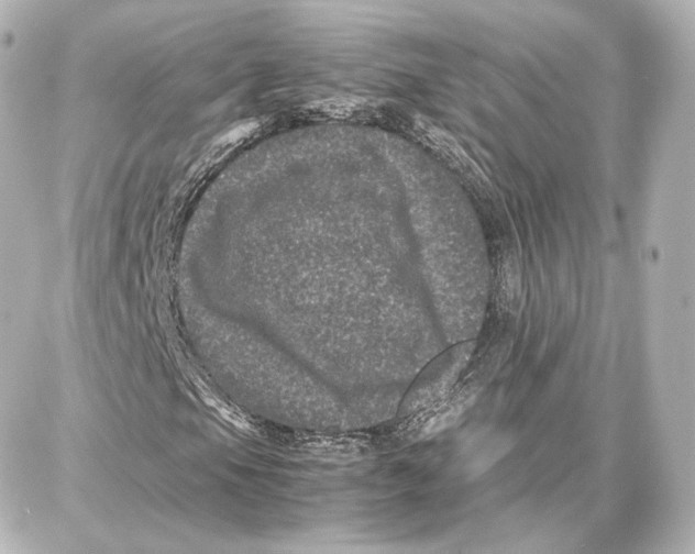 X0000087671105200705251612