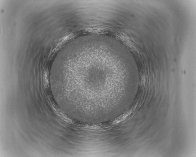 X0000087671106200705251612