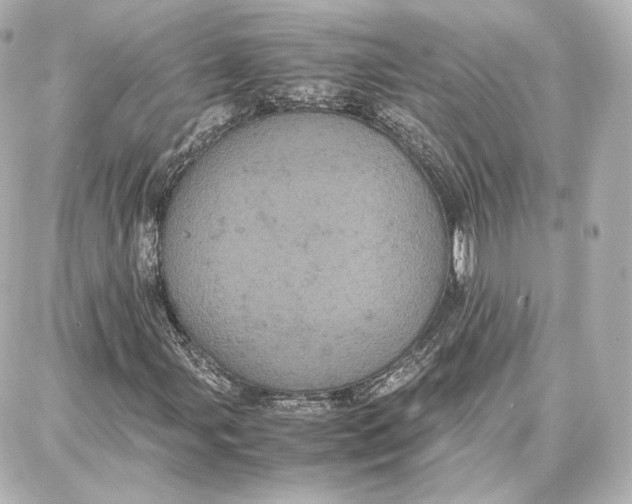 X0000087671107200705251612