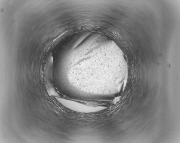 X0000087671109200705251612