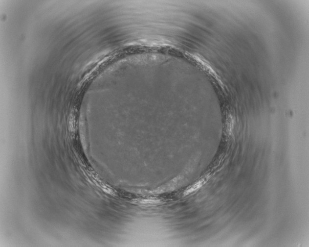 X0000087671110200705251612