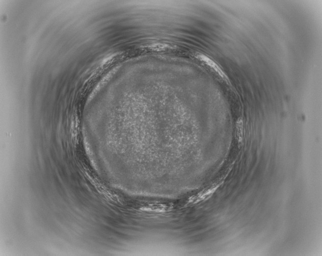 X0000087671111200705251612