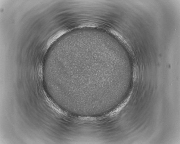 X0000087671113200705251612