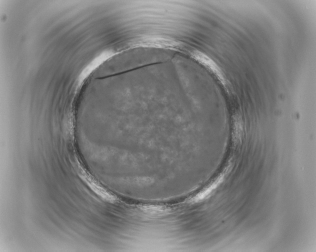 X0000087671114200705251612