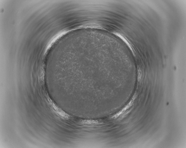 X0000087671115200705251612