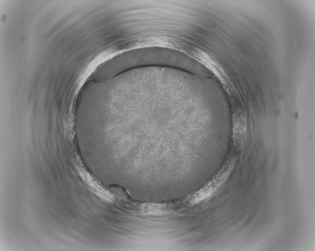 X0000087671116200705251612