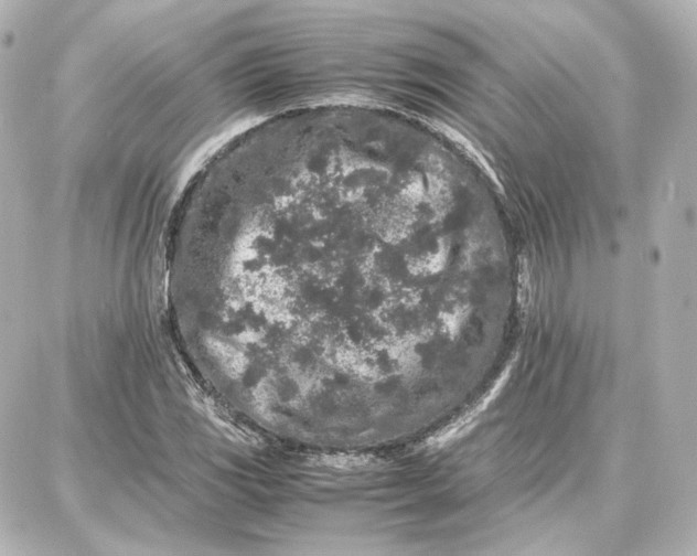 X0000087671117200705251612