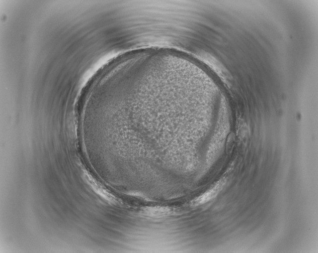 X0000087671118200705251612