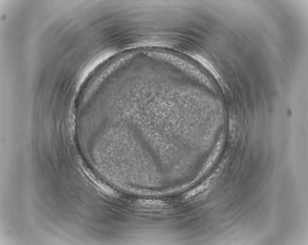 X0000087671119200705251612