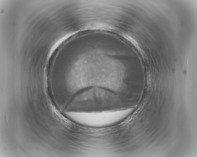 X0000087671120200705251612