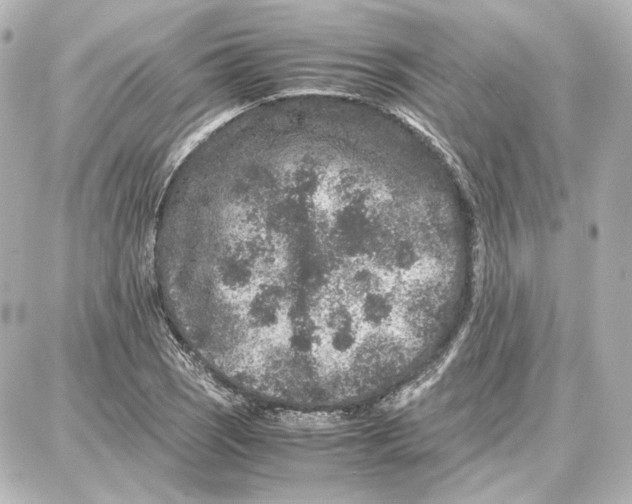 X0000087671121200705251612