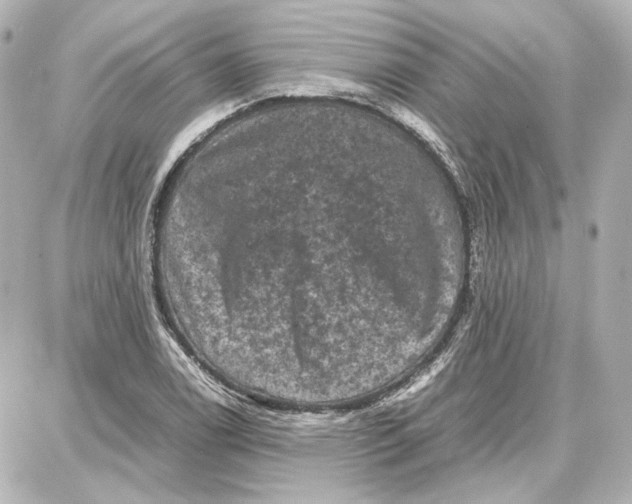 X0000087671122200705251612