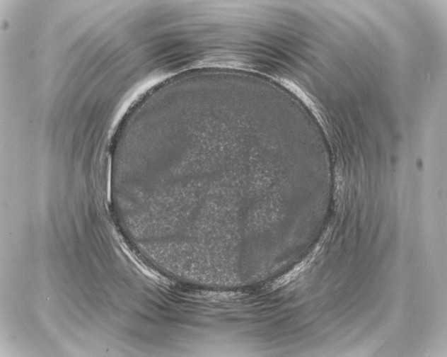 X0000087671123200705251612