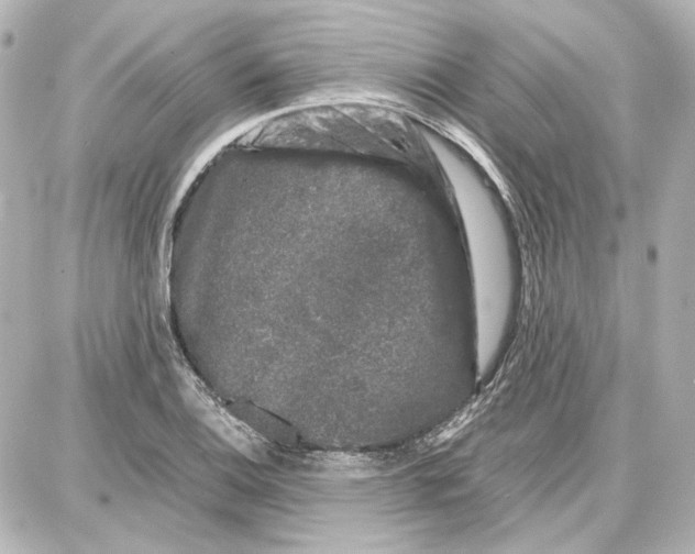 X0000087671124200705251612