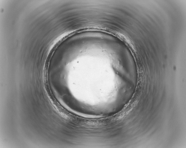 X0000087671125200705251612