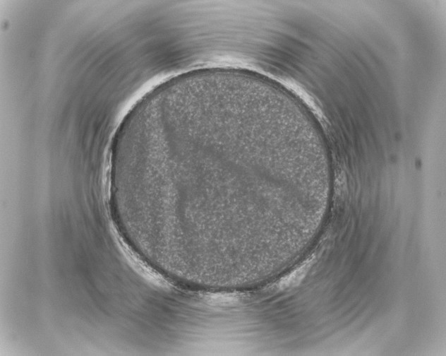 X0000087671126200705251612