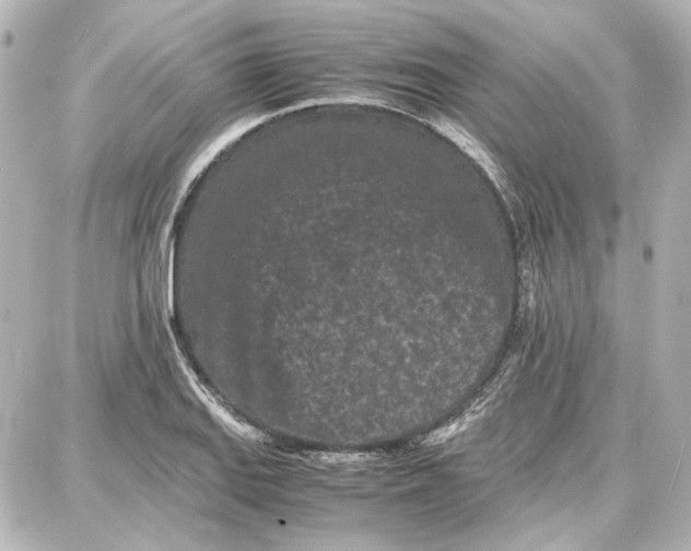 X0000087671127200705251612